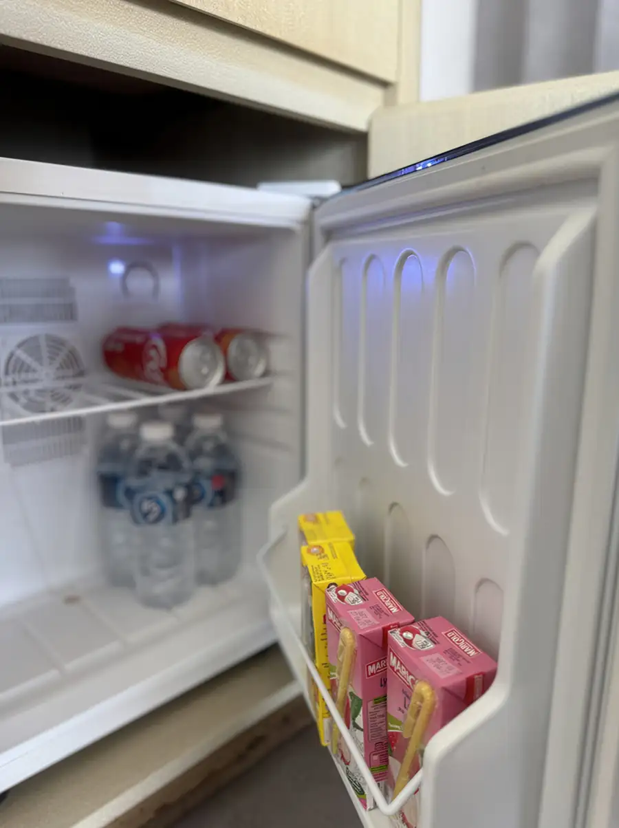Mini fridge